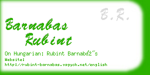 barnabas rubint business card